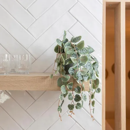 Olivia Apartamento *